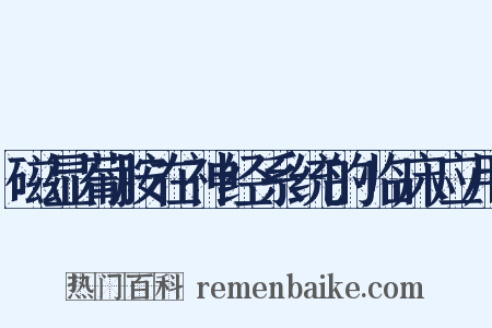 磁显葡胺在神经系统的临床应用是什么意思的图片